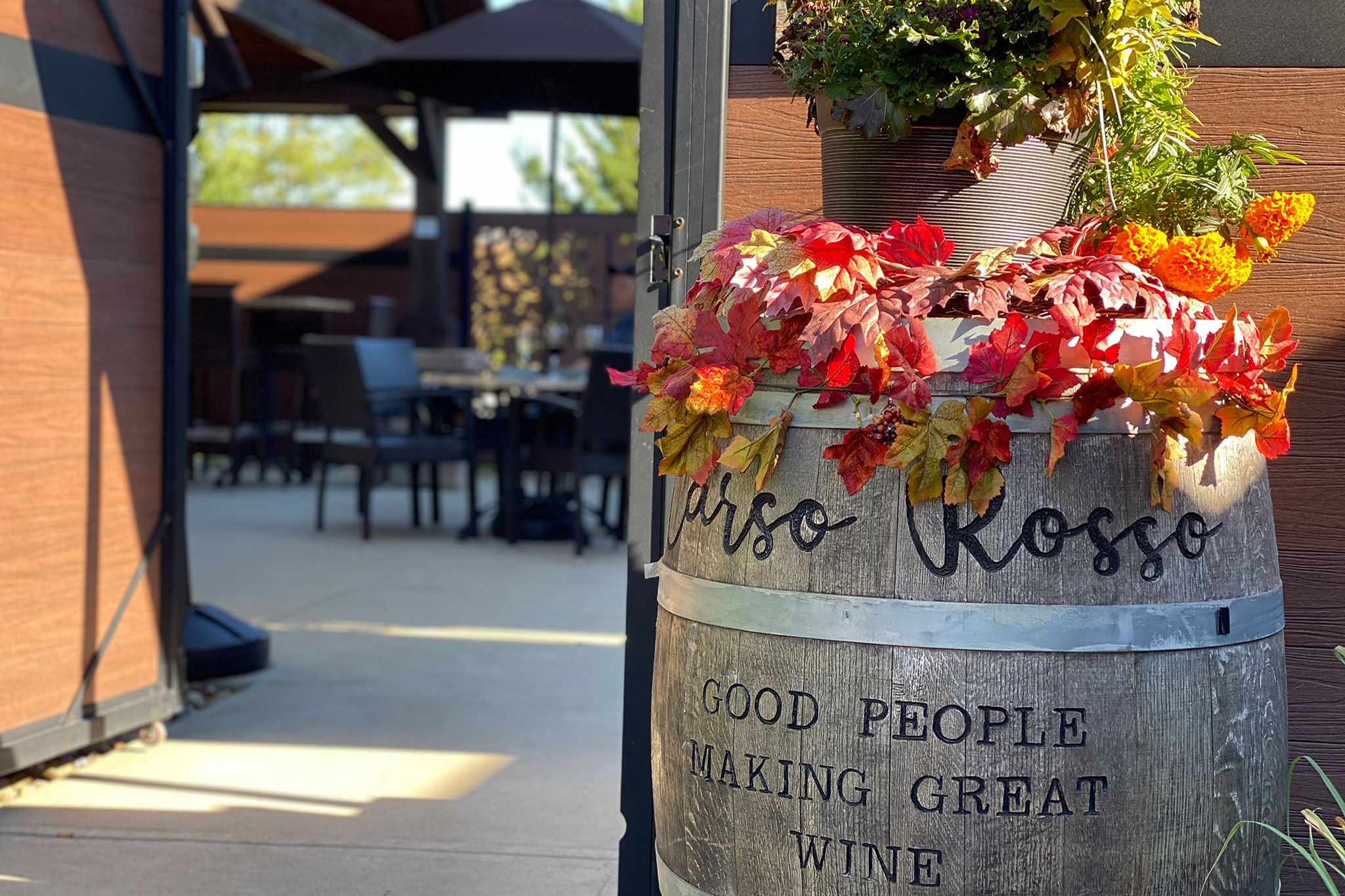 Entrance to Carso Rosso Winery's awesome patio